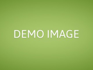 Warp Theme Framework